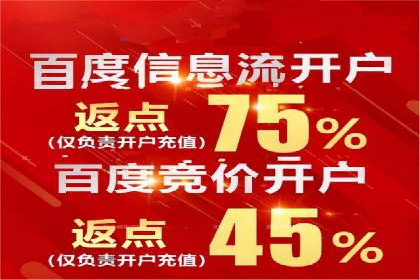 搜索引擎营销（SEM）的竞价策略优化案例